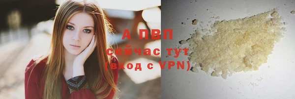 гидра Баксан