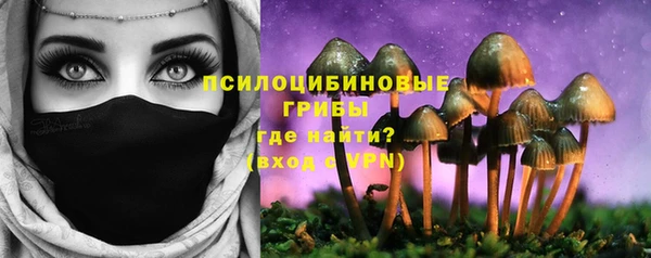 гидра Баксан